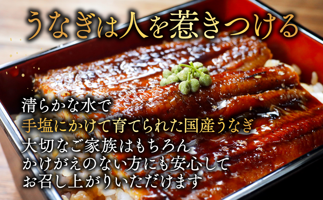 （6月）国産 特大 特上うなぎ(190g×4尾)