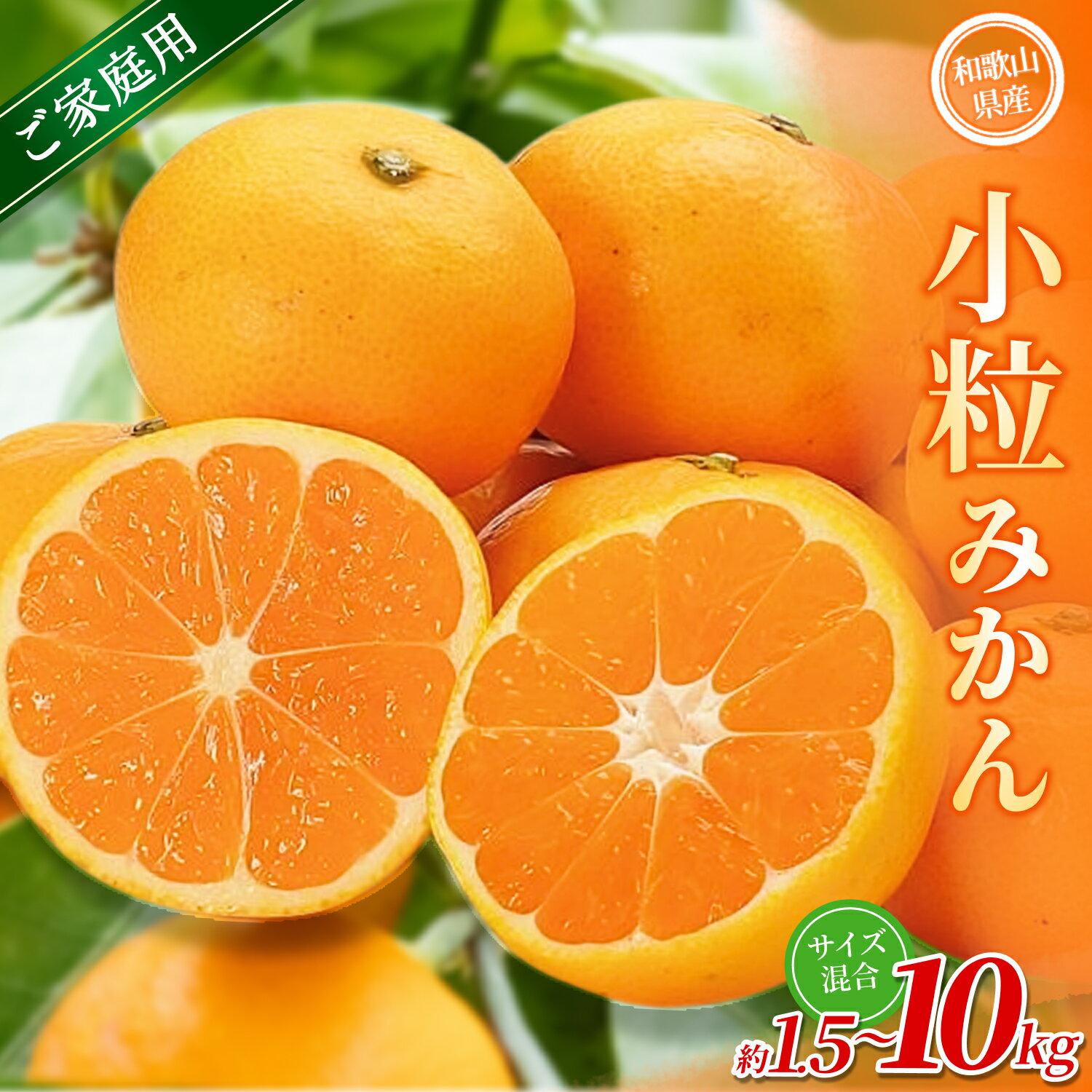 【ふるさと納税】【家庭用】 森本農園の手選別 小粒みかん 約1.5～10kg 和歌山県産 【北海道・沖縄・離島配送不可】【2025年11月上旬～2026年2月中旬ごろに順次発送】【BV-mrmt060-064】