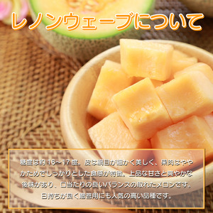 メロン 赤肉 レノンウェーブ 1玉 赤肉メロン メロン メロン メロン メロン