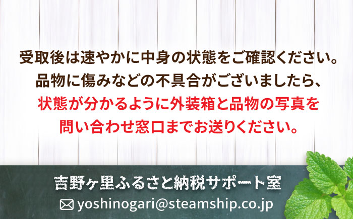 【12月～4月発送】 いちごさん 計1kg以上（約250g×4P）吉野ヶ里町/TZファーム [FDF001]