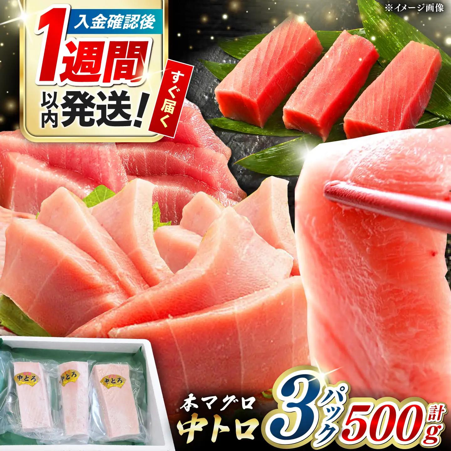 【1週間以内発送】対馬産 本マグロ 中トロ 500g [WAH018] 中とろ まぐろ スピード発送 最速発送 最短発送