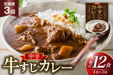 牛すじ カレー 3食 セット 中辛 3回 定期便 [カレー工房NVfoods 長崎県 平戸市 hr42bgy400229]