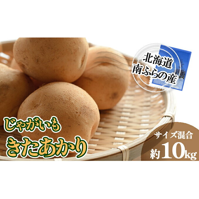 【ふるさと納税】南ふらの産 じゃがいも きたあかり 約10kg【サイズ混合】 北海道 南富良野町 じゃがいも ジャガイモ キタアカリ 北あかり 2025年発送 先行予約 ポテト 野菜 　お届け：2026年9月初旬～10月初旬