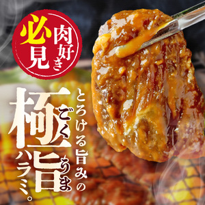 牛ハラミ 塩漬けダレ 1.2kg (400g×3pc) a163-010