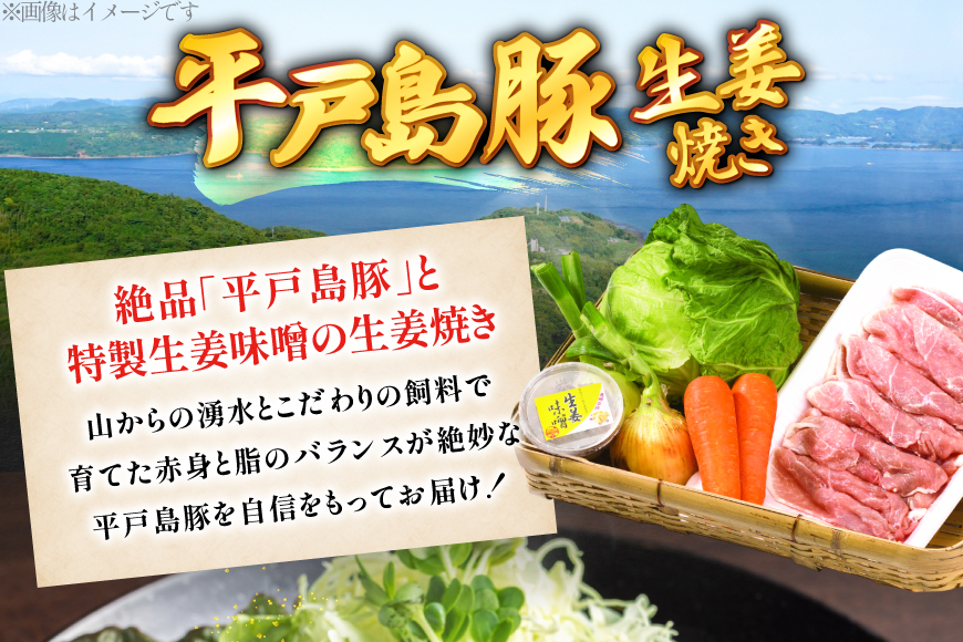 豚肉 生姜焼き  平戸島豚の 生姜焼きセット 約 500g 安心の地元 野菜付 [ひらど新鮮市場 長崎県 平戸市 hr42bgy400178] セット 国産 九州産 豚 ロース 豚ロース 肩ロース 豚