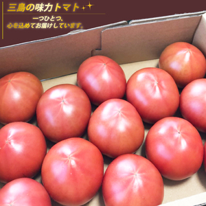 【予約受付中】三島の味力トマト 1kg トマト 完熟 高糖度 野菜 数量限定 フルーツ トマト とまと 贈答用 1万円以下