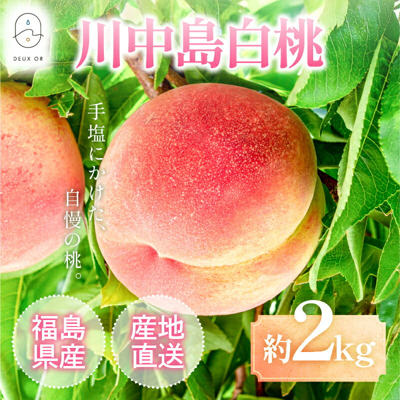 【ふるさと納税】No.2671もも「川中島白桃」約2kg【2025年発送】