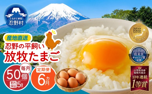 【6ヶ月定期便】忍野の平飼い放牧卵300個（毎月50個×6回） ※割れ保証含む　[卵 定期便 定期 国産 産地直送 毎月 生卵 玉子 たまご 卵かけご飯 卵焼き 親子丼 目玉焼き すき焼き オムライス オムレツ スイーツ作り 料理 調理 人気 鶏卵 鶏 新鮮 6ヵ月 6か月 山梨県 忍野村]