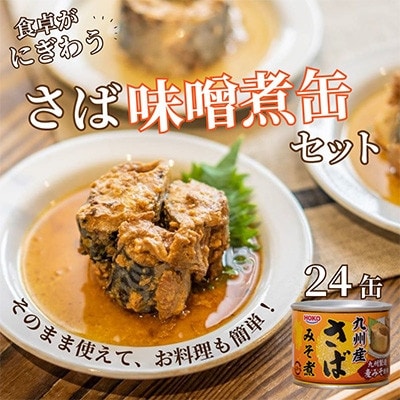 【毎月定期便】さば味噌煮缶セット(24缶)全6回【配送不可地域：離島】【4082378】