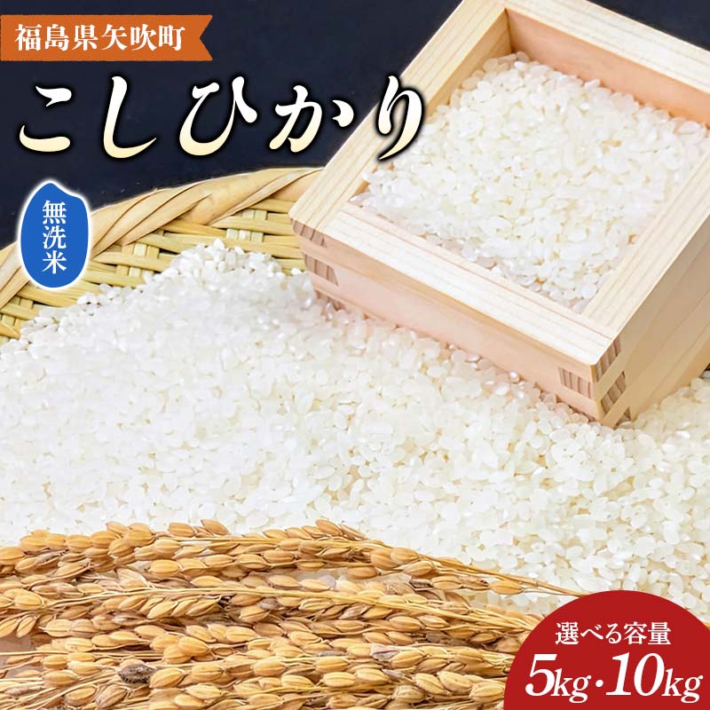 【ふるさと納税】《選べる容量》【先行予約】 令和7年産〈無洗米〉 福島県矢吹町の美味しいこしひかり 5kg / 10kg(5kg×2袋) コシヒカリ コメ 米 F6U-333var