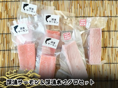 青森サーモン＆天然 本マグロ 赤身 中トロ セット 計800g 国産 青森 サーモン 本鮪 まぐろ マグロ クロマグロ 鮪 刺身 丼ぶり 海鮮 魚介 贅沢 お取り寄せ 詰め合わせ グルメ 産地直送 送料無料 冷凍 あおもり海山 青森県 深浦町