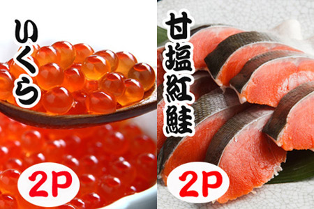 【年内配送対応可○】いくら醤油漬け100g×1P、紅鮭切身5切×2P A-70028