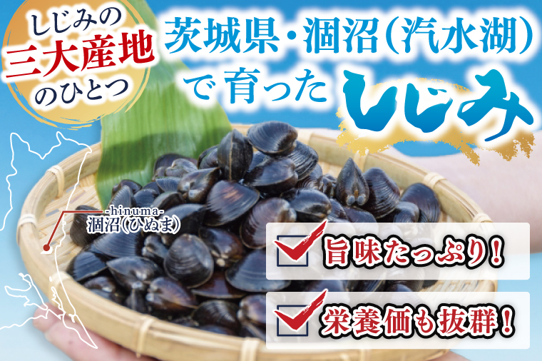 【全6回隔月定期便】茨城県涸沼川産 だしの濃さに違いが出る！手掘しじみ（砂抜き）500g×4個（2kg）【涸沼川 シジミ オルニチン 味噌汁 スープ 茨城県 水戸市】（MS-12）