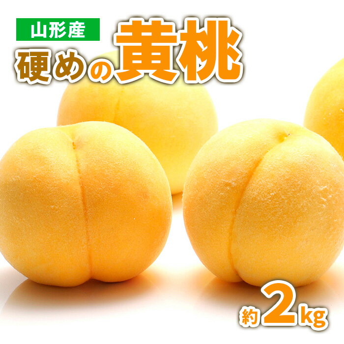【ふるさと納税】山形産 硬めの黄桃　約2kg（4〜9玉)秀品 【令和7年産先行予約】FS23-778くだもの 果物 フルーツ 山形 山形県 山形市 お取り寄せ 2025年産
