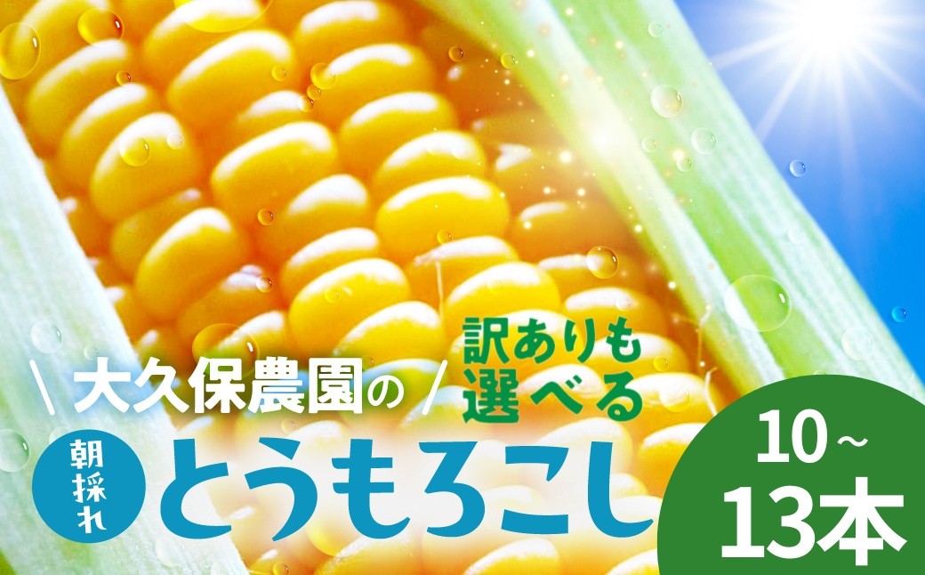 
                  ＜先行予約＞ 朝採り とうもろこし 訳ありも選べる 10本～13本 訳あり とうもろこし 冷蔵 糖度 フルーツ くらい 甘い 田原市 トウモロコシ コーン おやつ スイーツ コーンスープ にも 事前予約 旬 夏 初夏 野菜 やさい
                