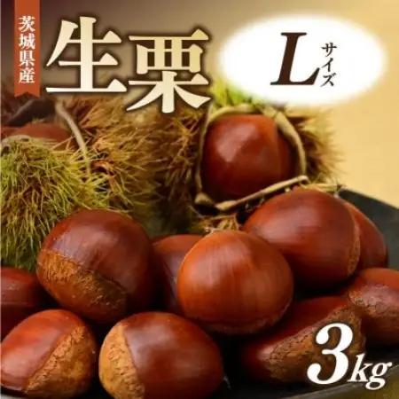千代田の生栗 3kg 和栗 Lサイズ | 茨城県 かすみがうら市【1787735】