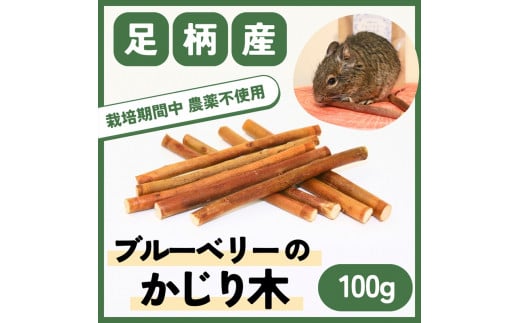 
【小動物ペットに】足柄産ブルーベリーのかじり木100g【 ペット 神奈川県 南足柄市 】
