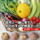 【ふるさと納税】自然と一緒に育てた旬のおまかせ野菜セット 8〜9種類 冷蔵便 ※離島・沖縄・北海道への発送不可 農家直送 産地直送 採れたて 自然栽培 詰め合わせ 詰合せ 東北 山形県 遊佐町 庄内