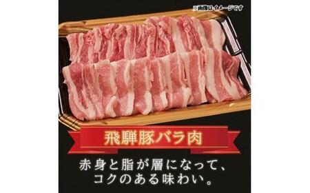 飛騨牛 ＆ 飛騨豚 焼肉 セット 合計 1kg 肉 国産 牛 豚 29-950 ファミリーストアさとう b579