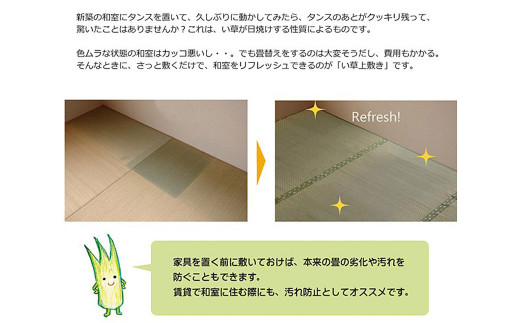 い草上敷き【不知火】江戸間4.5畳_イメージ4