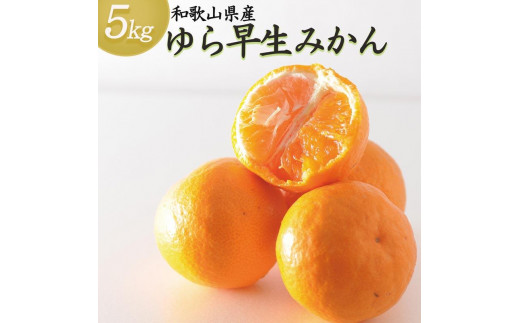 
            《赤秀》ゆら早生 みかん 約5kg【和歌山県・下津町産】産地直送（SS・S・Mサイズ）
          