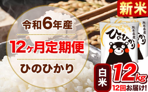 令和6年産新米 【12ヵ月定期便】 白米 ひのひかり 定期便 12kg 6kg×2袋《お申込み翌月から出荷開始》 熊本県産 精米 ひの 米 こめ ヒノヒカリ コメ お米