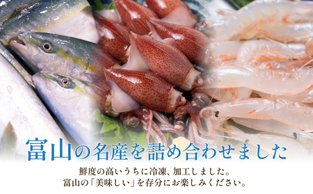 富山湾三大名物・極 鰤 ホタルイカ 白えび つめ合わせ ブリ ほたるいか 富山県 氷見市