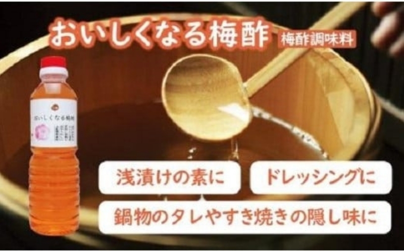 梅満喫セット 特選A級 紀州南高梅 味わい4種800g 千年の知恵 梅干し 梅札 和歌山県産 【hoso015A】