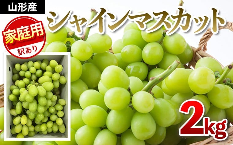 【令和4年産先行予約】【ご家庭用】シャインマスカット 2kg入り