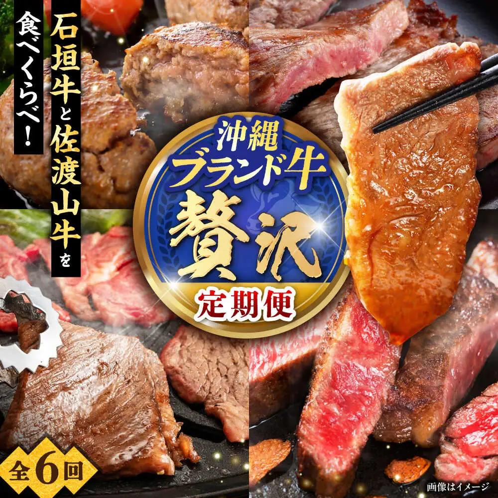 【全6回定期便】沖縄ブランド牛を堪能！贅沢お肉定期便【沖縄市】牛肉 和牛 サーロインステーキ 焼肉 赤身 沖縄市 / 肉のサブロー / お肉屋本店[BCZZ028]