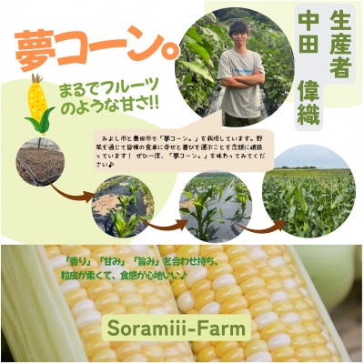 【2026年度先行受付】愛知県みよし市産  朝採り「夢コーン。」Lサイズ10本セット　数量限定【配送不可地域：離島・沖縄県】