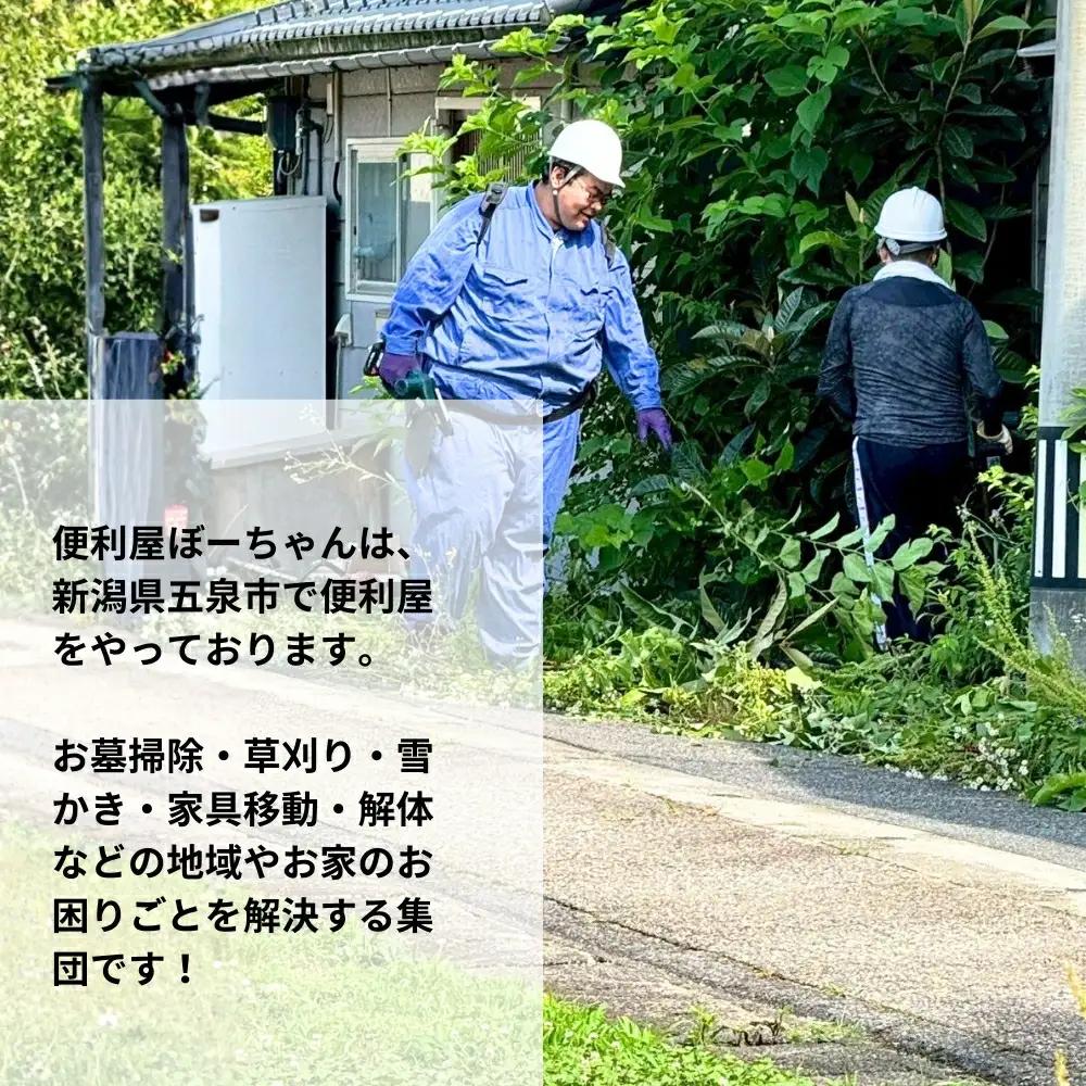 竹の伐採サービス 1回 五泉市内限定 便利屋ぼーちゃん