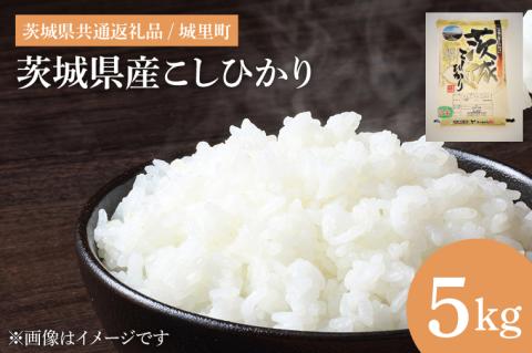 【令和6年度産】茨城県産こしひかり　5kg　（茨城県共通返礼品/城里町）【お米 ごはん こしひかり おいしい 白米 茨城県産 水戸市】（IH-4049）