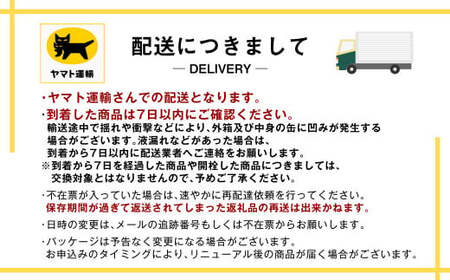 【先行予約】アサヒ ドライゼロ 泡ジョッキ缶 1ケース 340ml 24本 ※2026年11月～発送 | ノンアル  ジョッキ缶 アサヒ アサヒビール