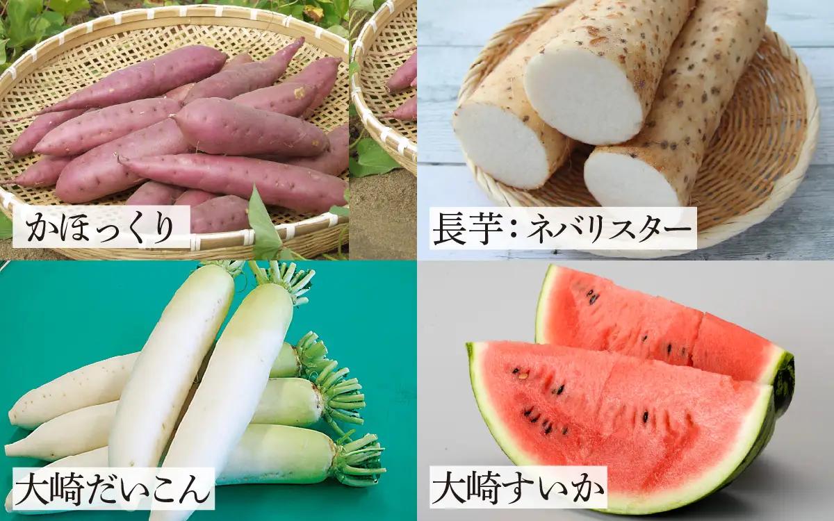 かほく市 おためしセット ～旨味便～（全16品）