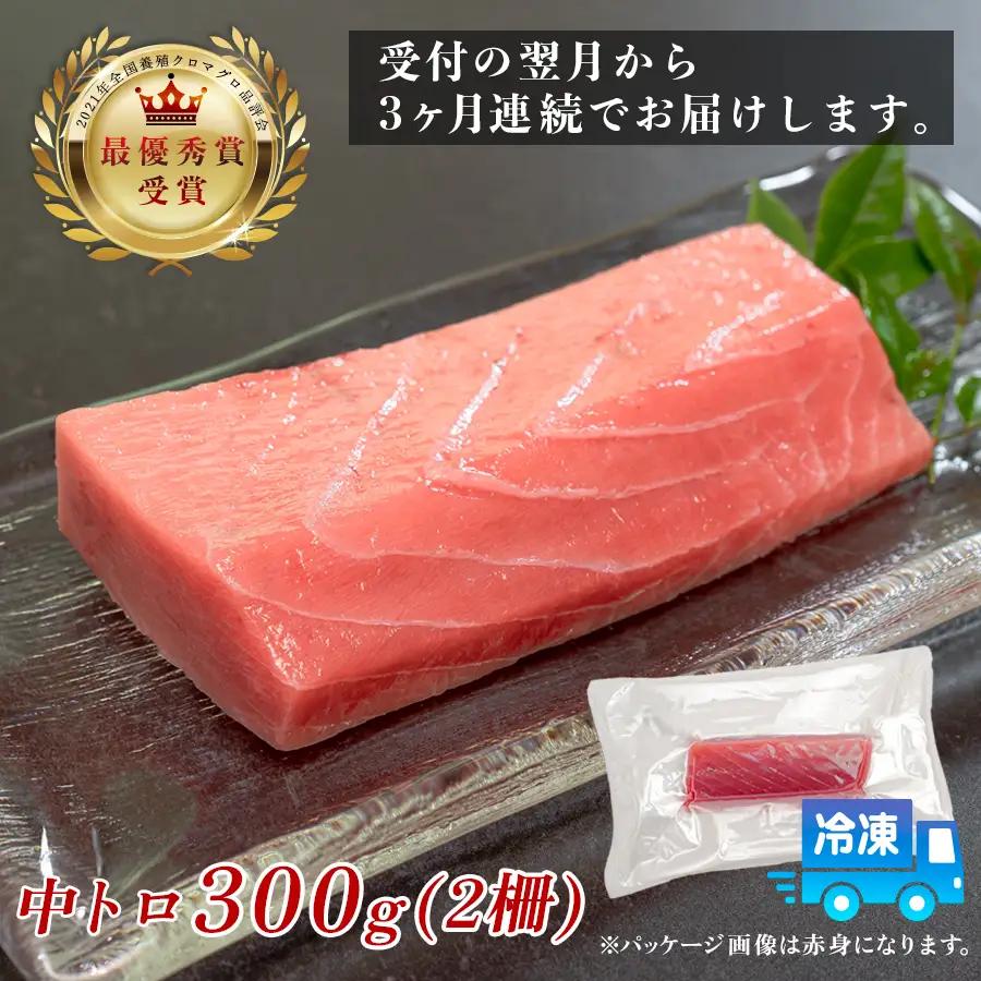 訳あり まぐろ マグロ 本鮪 黒潮本まぐろ 中トロ 定期便 3回 300g × 3回 刺身