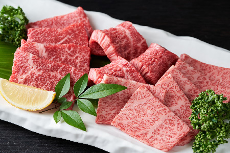 【先行受付 R6年12月中旬より発送】艶さし！【A4～A5】佐賀牛焼肉用 1kg(500g×2P)【肉 牛肉 ブランド牛 黒毛和牛 ふるさと納税】(H112112)