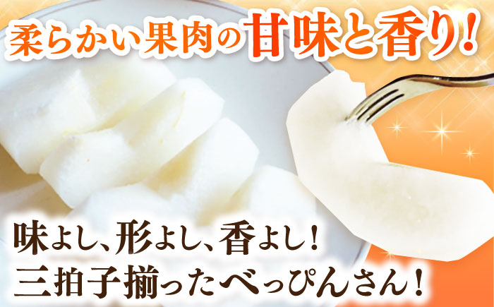 【100年続く梨農家直送】【化粧箱入り】梓（あきづき）3個入（約1.2kg） / 梨 なし 伊万里梨 フルーツ 果物 / 佐賀県 / 大川三世代 [41AEAB001]