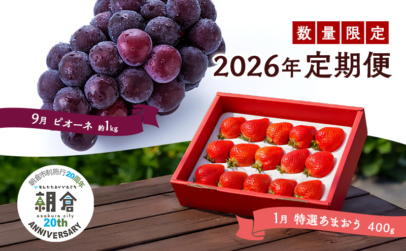 定期便 2回 うるう農園 2026年1月発送 特選 あまおう 400g ゆう美果樹園 2026年9月発送 ピオーネ 1～3房 約1kg いちご ピオーネ セット ※配送不可：離島