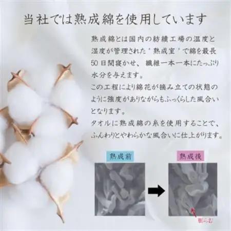 泉州タオル「ステップボーダー」フェイスタオル5枚セット 005A458_雑貨・日用品 泉州タオル タオル _【1536315】