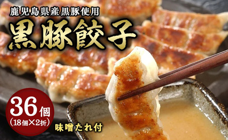 芦屋 伊東屋謹製「黒豚餃子」2折セット（味噌タレ付き）＜お中元 到着目安7月中旬＞【餃子 ぎょうざ ギョーザ 中華 点心 惣菜 おかず おつまみ 冷凍総菜 ジューシー 肉汁 鹿児島産 黒豚 国産豚肉 豚肉 もちもち皮 肉汁たっぷり 冷凍 イトー屋 お取り寄せ ギフト お中元 お歳暮】
