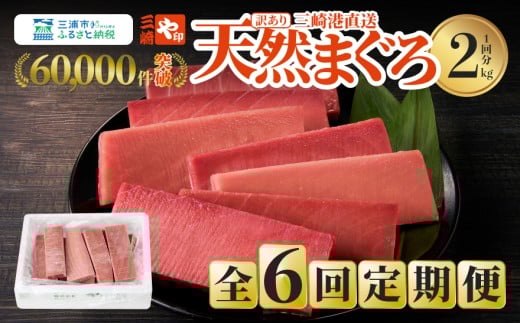 【全6回定期便】老舗三崎まぐろ問屋から直送！天然マグロ赤身 2kgをお届け　M063-T10