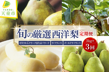 西洋梨 の 頒布会 定期便 全3回 フルーツ 果物 山形 洋梨