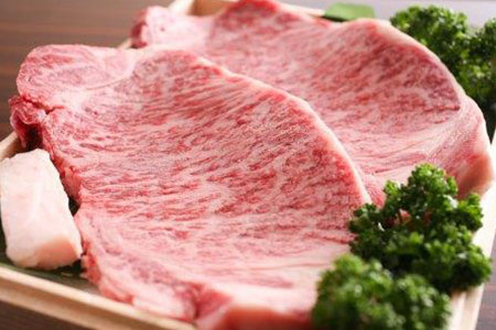 飛騨牛 肉の日 定期便 半年 6回 (6ヶ月)  毎月29日お届け 半年バージョン お肉  牛肉 定期便 飛騨市推奨特産品[L0008]