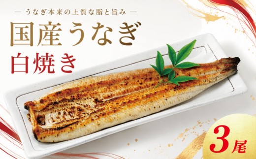 うなぎ 白焼き 国産 小サイズ 3尾 《 冷蔵発送 解凍手間なし！》 鰻 ウナギ 白焼 国産うなぎ 国産鰻 うなぎ白焼き 冷蔵 土用 丑の日 父の日 小分け 徳島 魚市場 【GW・シルバーウィーク・お盆・年末年始 の指定日は不可】