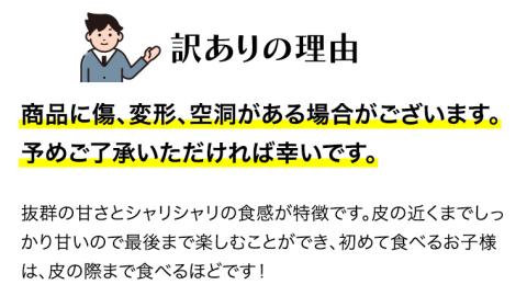 【訳あり】 際まで甘い こだまスイカ 愛娘 （１玉） 【2026年5月中旬より発送開始】 スイカ 西瓜 旬 旬の果実 旬のフルーツ くだもの 果実 フルーツ 夏 小玉スイカ 小玉 果物 美味しい [B