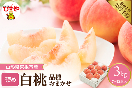【2025年 先行予約】かための白桃 約3kg (品種おまかせ7～12玉入) 山形県 東根市 hi026-009-1　もも 桃 白桃 硬い 硬め フルーツ 果物 くだもの 産地直送 期間限定 特産品 お取り寄せ グルメ 旬 東北 山形県 東根市 送料無料 ふるさと納税