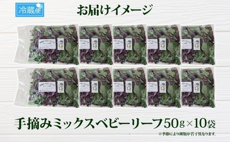 手摘み ミックスベビーリーフ 50g 10袋 ベビーリーフ 野菜 ヤサイ 旬の野菜 葉物野菜 生野菜 ハーブ 緑 彩り 柔らかい 手軽 サラダ サンドイッチ トッピング アクセント はーとふる農園 国