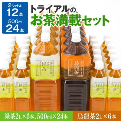 ふるさと納税 田川市 トライアルのお茶満載セット(緑茶2L×6本・烏龍茶2L×6本・緑茶500ml×24本)
