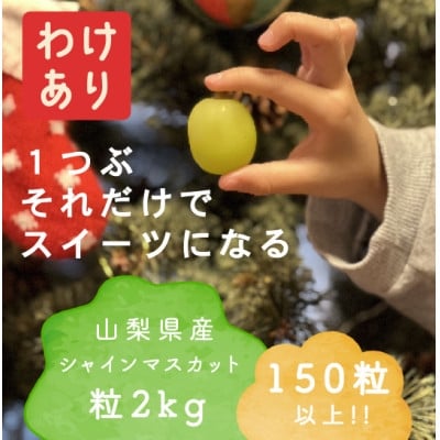 
            ＜年内発送＞＜訳あり＞冬に食べられる シャインマスカット 粒 (2kg以上) 山梨産【1694130】
          